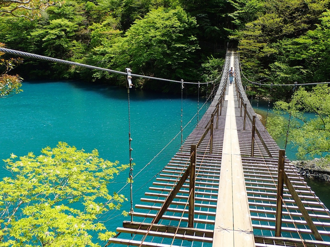 静岡の 夢の吊り橋 は5月がベストシーズン 雨の日や夏は青くないかも ぱやブログ