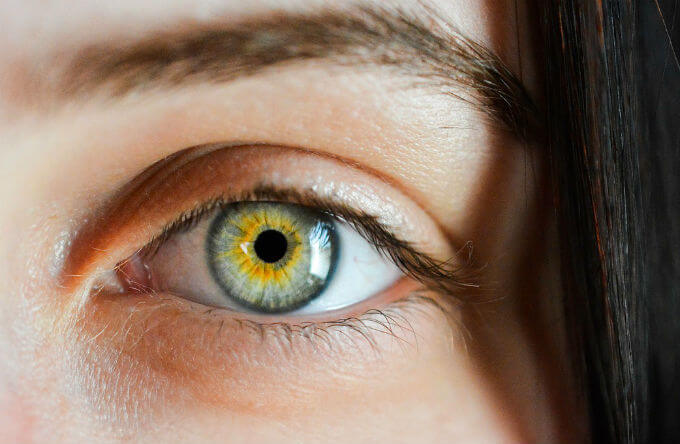 世界でたった２ の人が持つ 緑色や紫の眼がとっても美しい ぱやブログ