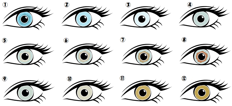 人の目の色は 全部で24種類 日本人は4種類 あなたは何番の色 ぱやブログ