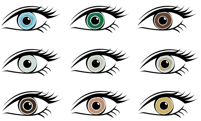 世界でたった２ の人が持つ 緑色や紫の眼がとっても美しい ぱやブログ