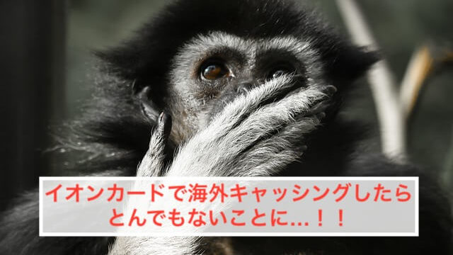 イオンカードで海外キャッシングしたら大損した 繰り上げ返済の方法 ぱやブログ