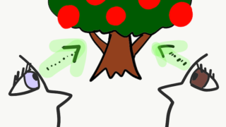 珍しい色の目（青、緑）を持つ日本人は、九州や東北地方に多い！｜ぱや 