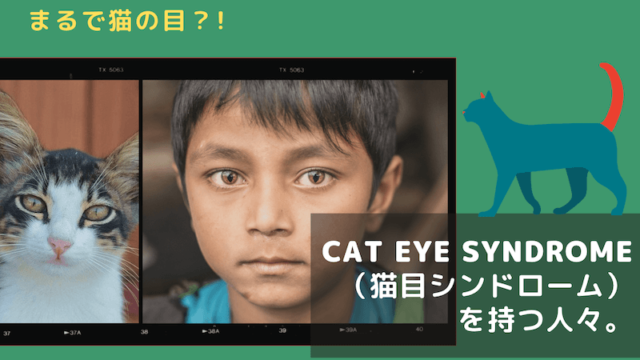 珍しい色の目 青 緑 を持つ日本人は 九州や東北地方に多い ぱやブログ