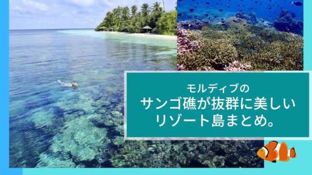 モルディブの珊瑚礁が美しい（ハウスリーフが良い）リゾート島まとめ